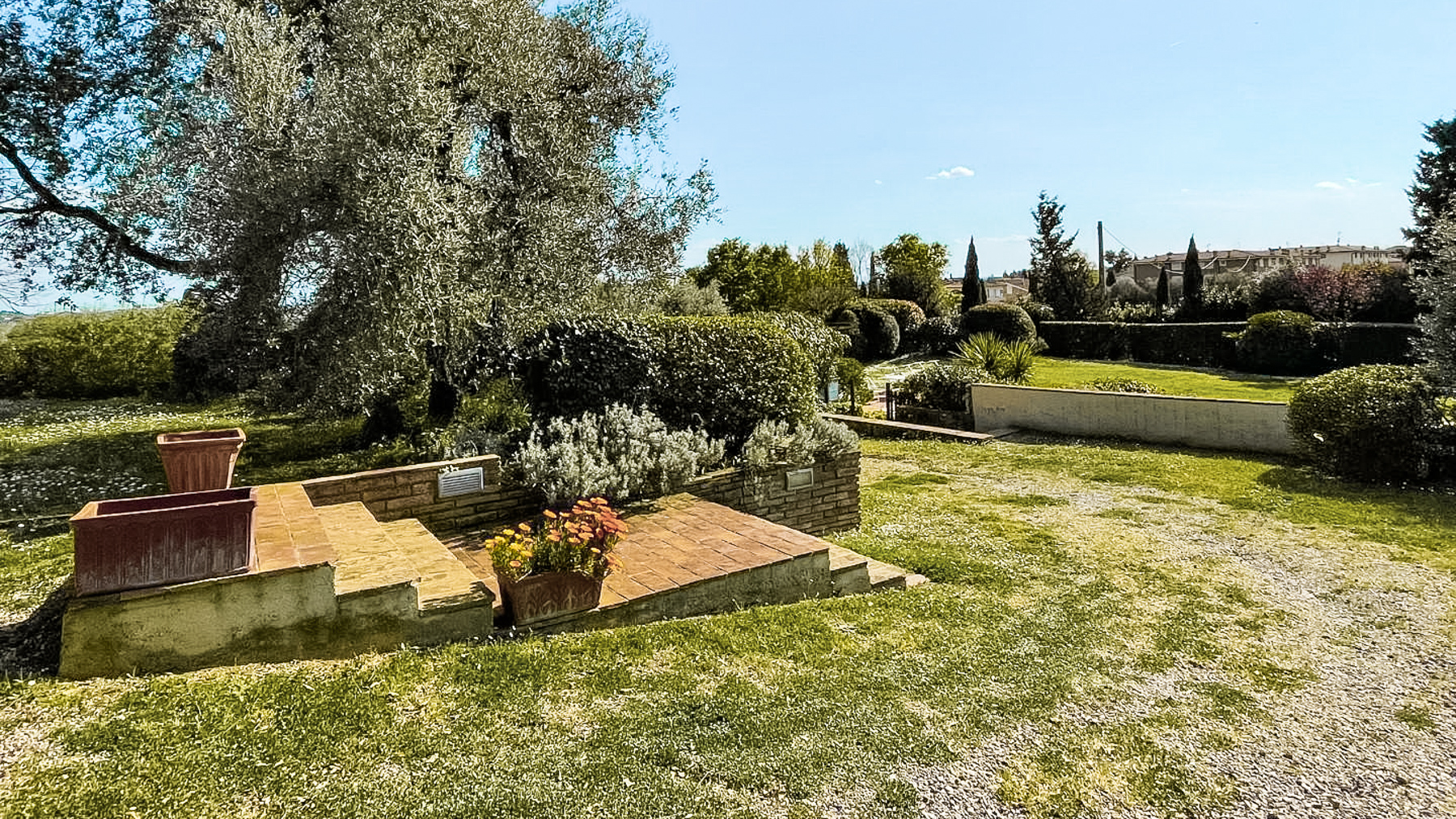 Big Image 14