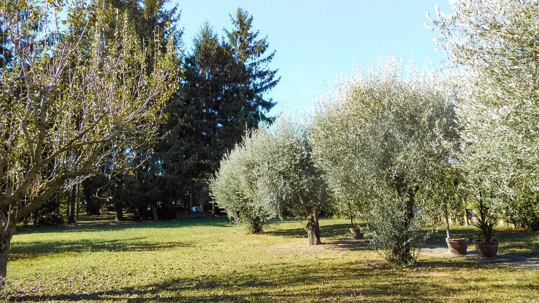 Big Image 9
