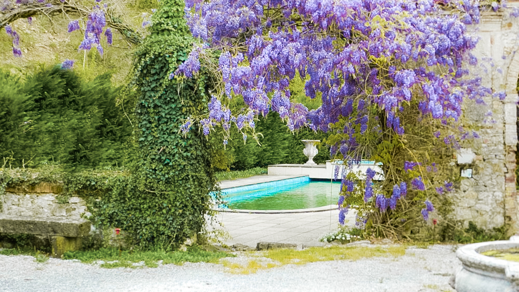 Big Image 4