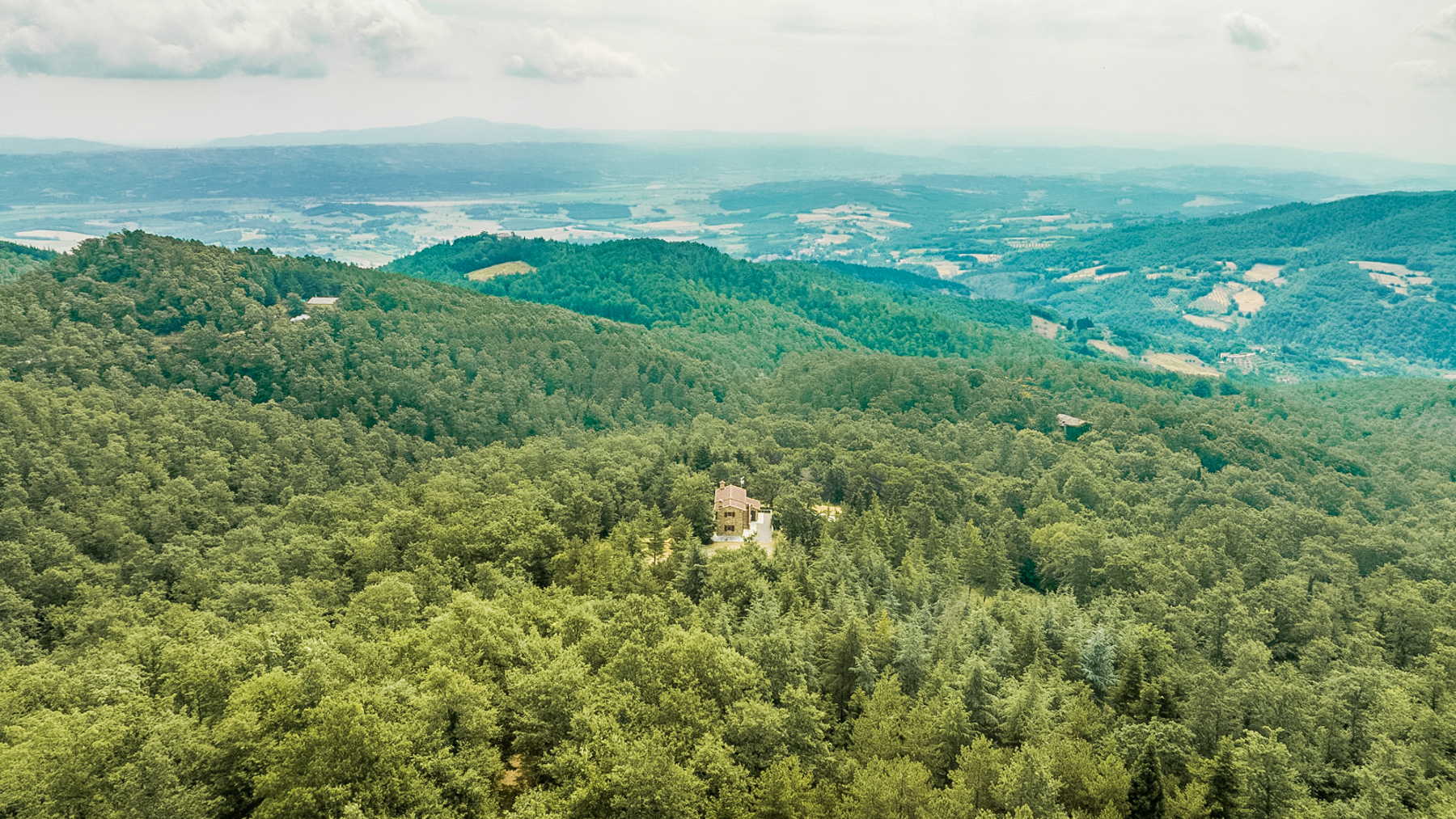 Big Image 15