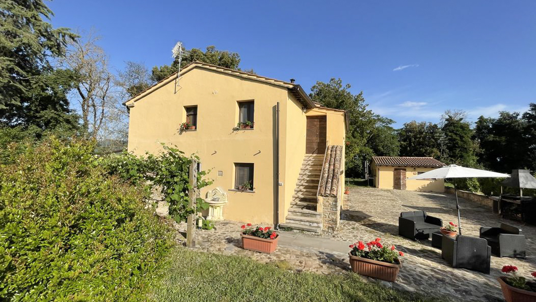 Big Image 9