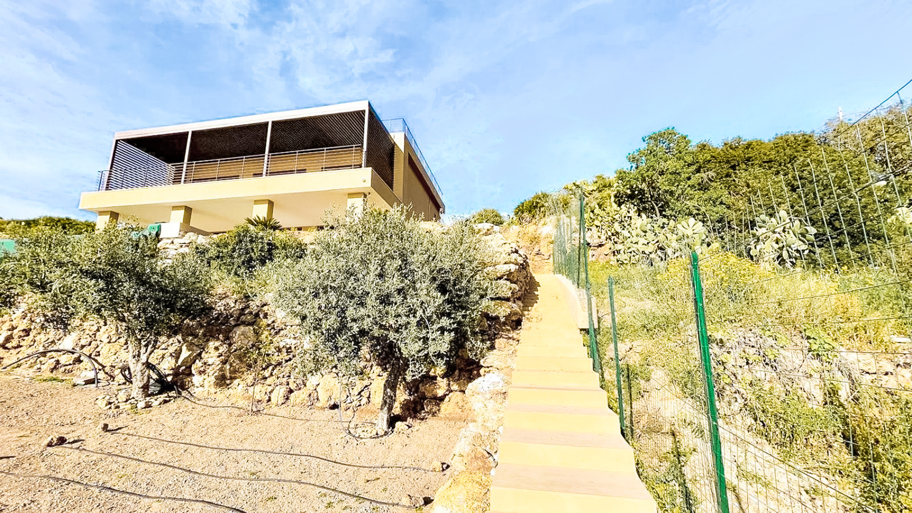 Big Image 15