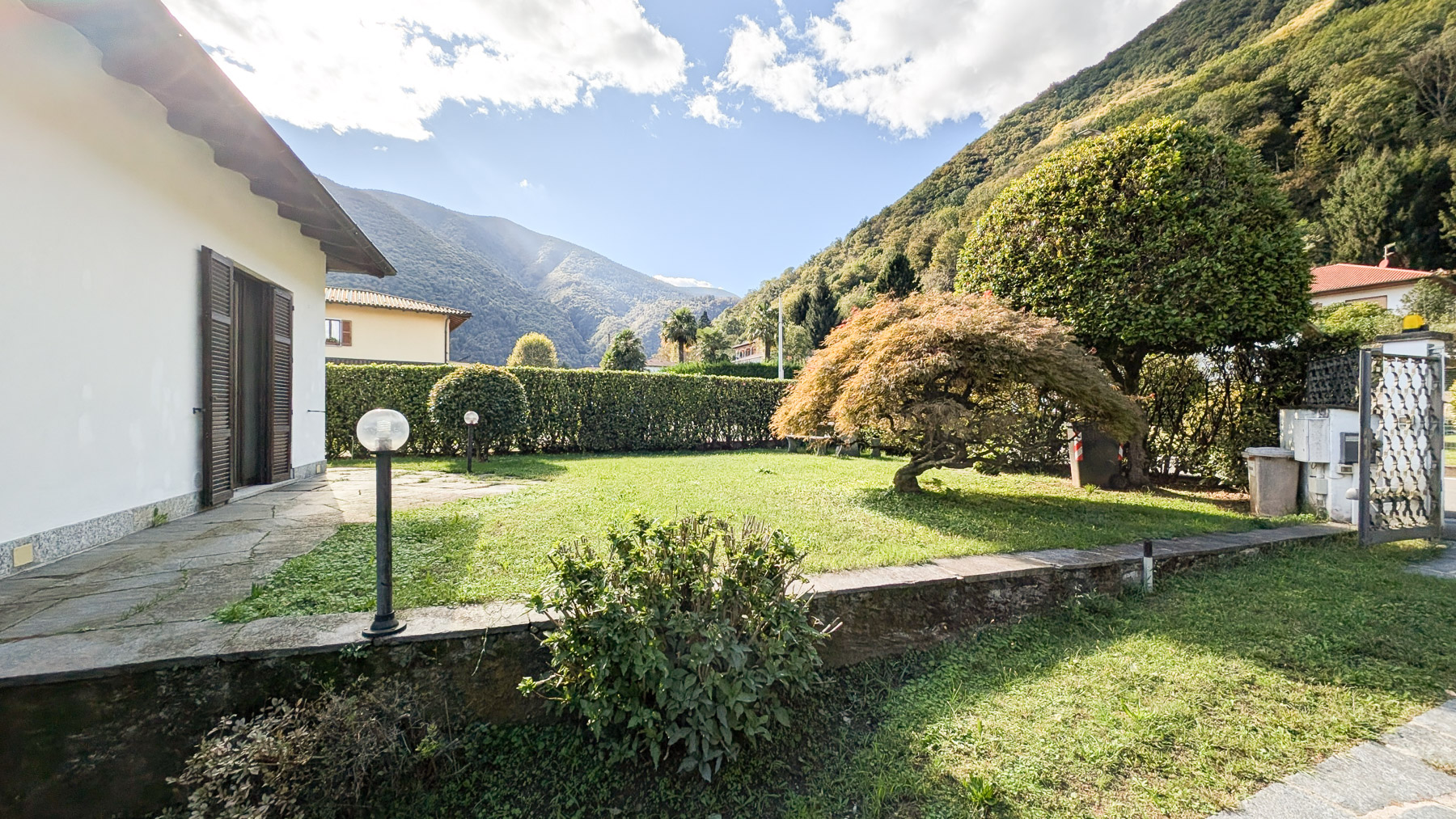 Big Image 14